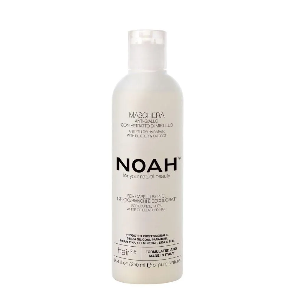 Noah 2.6 Mascarilla anti-amarillo con extracto de arĂ¡ndano 250ml