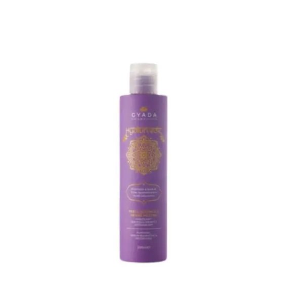 Gyada Cabello Hyalurvedic Champú Purificante Neem Moringa Henné Neutro 200ml